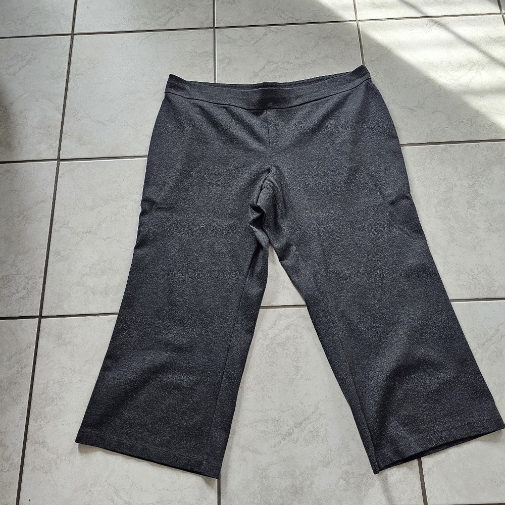 Lane Bryant Women's Casual or Business Charcoal Stretch Pants
